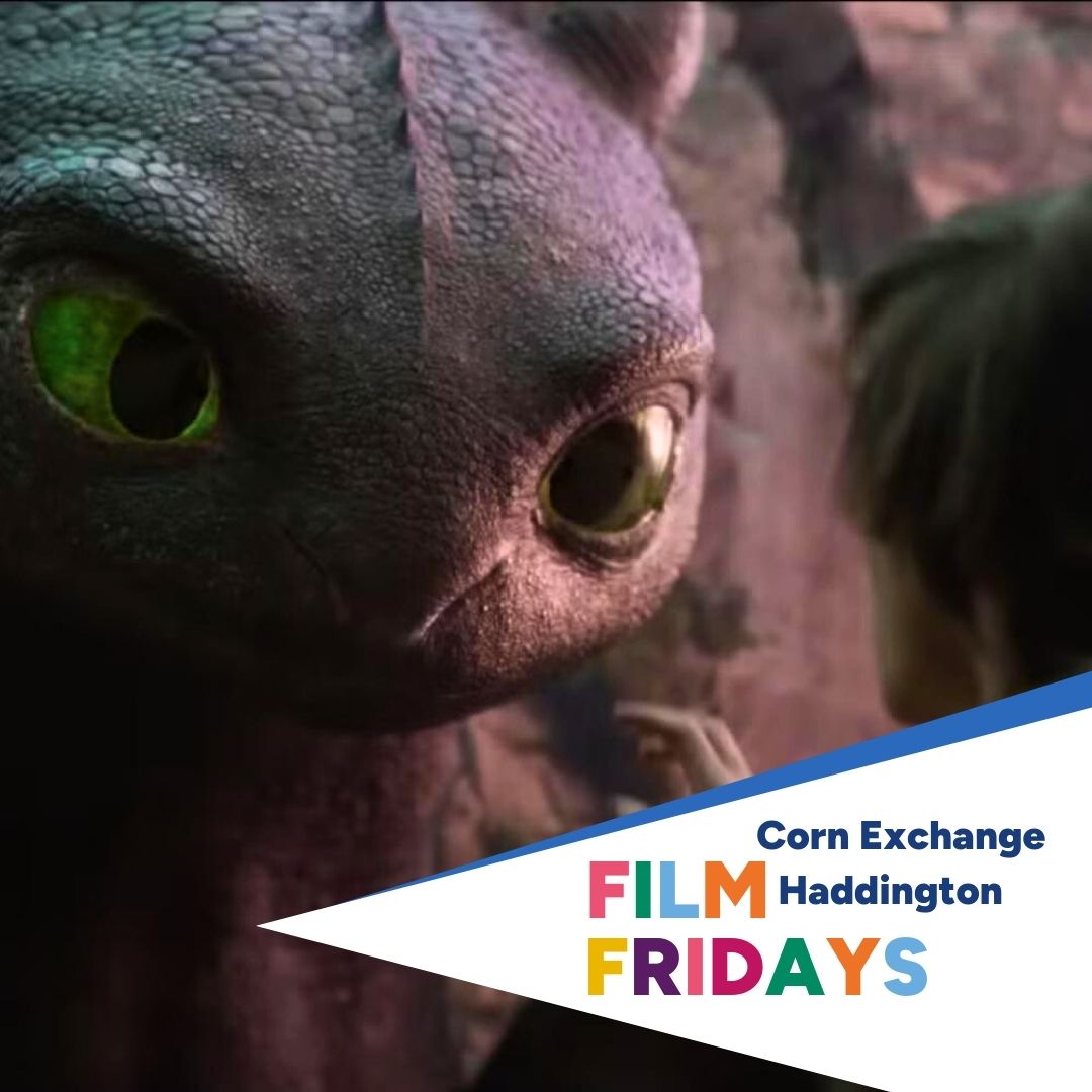 1807 FF How To Train Your Dragon