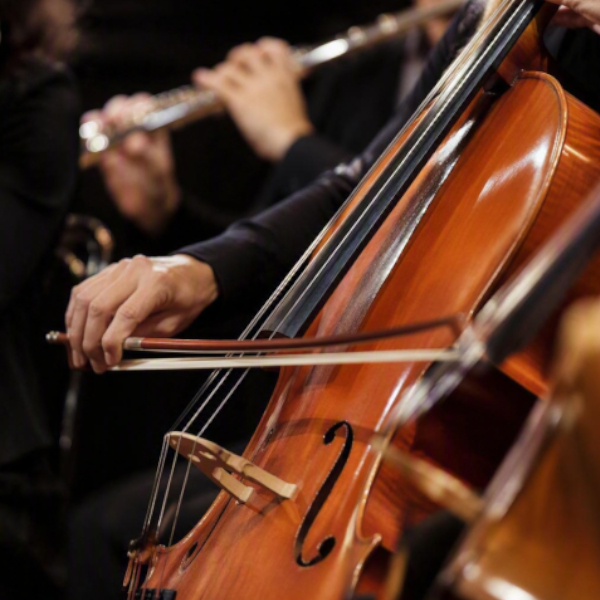 Orchestra Up Close