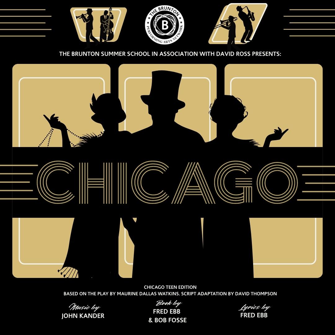 CHICAGO WEB IMAGE