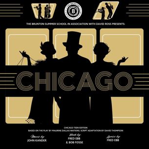 CHICAGO WEB IMAGE