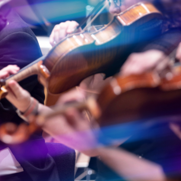 Close up of violinists